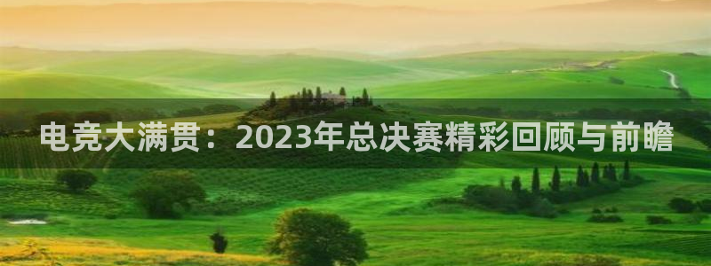 so米体育直播在线直播：电竞大满贯：2023年总决赛精彩回顾与前瞻