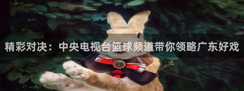 so米直播体育直播平台：精彩对决：中央电视台篮球频道带你领略广东好戏