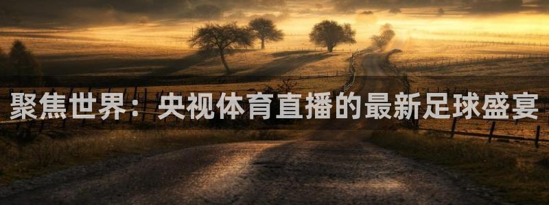 so米直播体育在线：聚焦世界：央视体育直播的最新足球盛宴