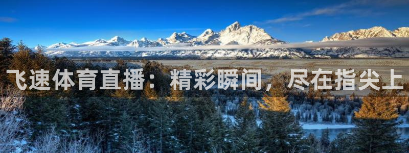 so米体育直播nba：飞速体育直播：精彩瞬间，尽在指尖上