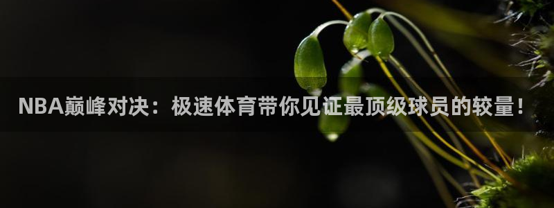 搜米so米体育：NBA巅峰对决：极速体育带你见证最顶级球员的较量！