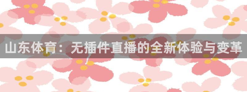 so米nba直播：山东体育：无插件直播的全新体验与变革