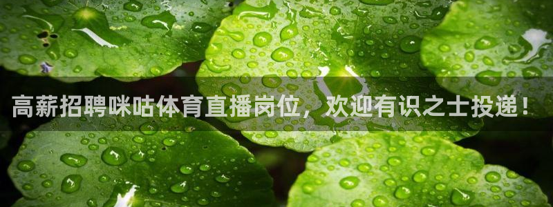 so米体育在线直播免费观看：高薪招聘咪咕体育直播岗位，欢迎有识之士投递！