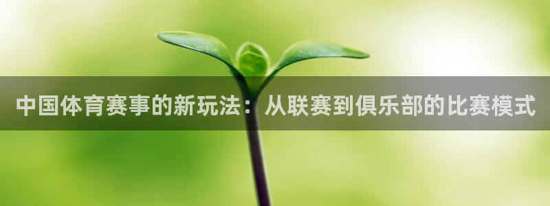 so米直播体育平台直播：中国体育赛事的新玩法：从联赛到俱乐部的比赛模式